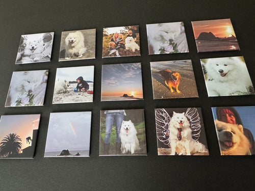collection of nz handmade photo magnets on black board